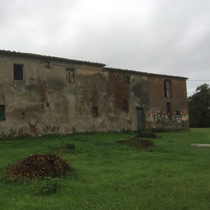 MODELLO 10 bis